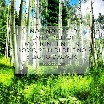 Esodo 25:5 Versetto della Bibbia Spiegato