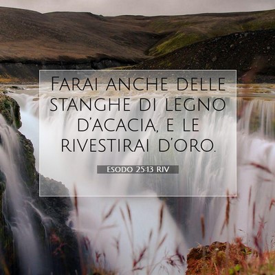 Esodo 25:13 Versetto della Bibbia Spiegato