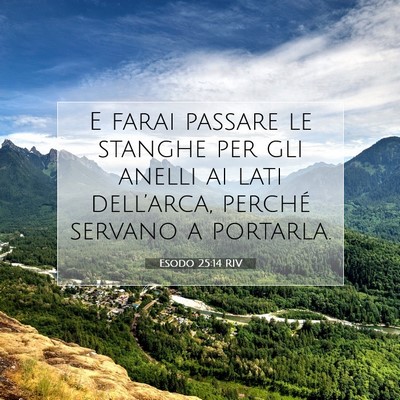 Esodo 25:14 Versetto della Bibbia Spiegato