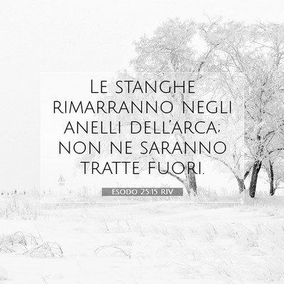 Esodo 25:15 RIV Immagine del Versetto della Bibbia