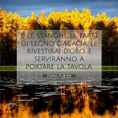 Esodo 25:28 Versetto della Bibbia Spiegato
