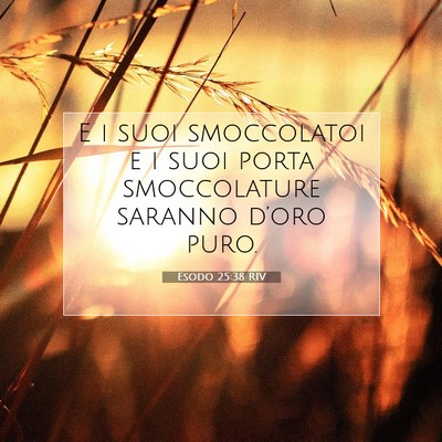 Esodo 25:38 Versetto della Bibbia Spiegato
