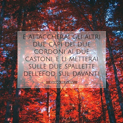 Esodo 28:25 Versetto della Bibbia Spiegato