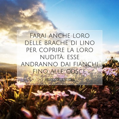 Esodo 28:42 Versetto della Bibbia Spiegato