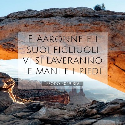 Esodo 30:19 Versetto della Bibbia Spiegato