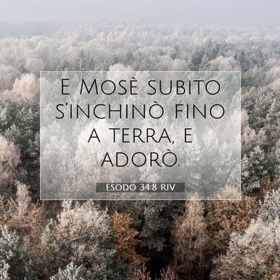 Esodo 34:8 Versetto della Bibbia Spiegato