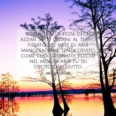 Esodo 34:18 RIV Immagine del Versetto della Bibbia