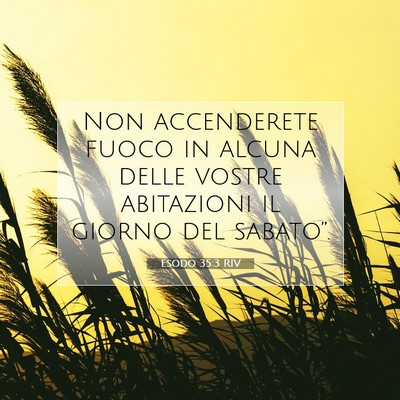 Esodo 35:3 Versetto della Bibbia Spiegato