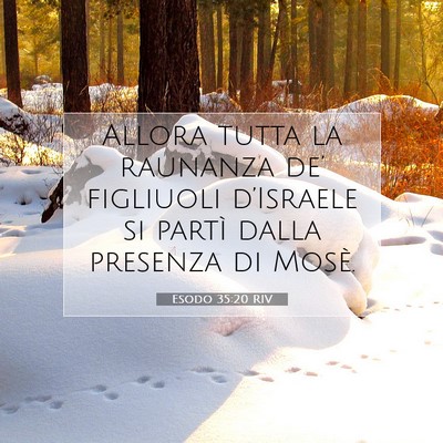 Esodo 35:20 Versetto della Bibbia Spiegato