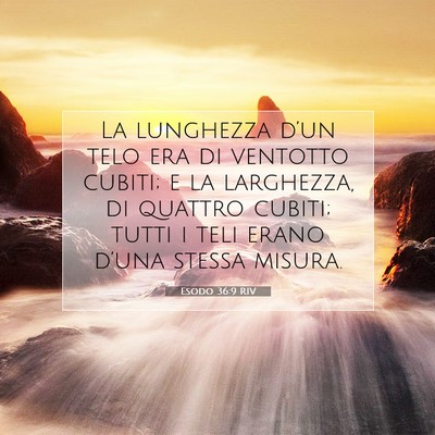 Esodo 36:9 Versetto della Bibbia Spiegato