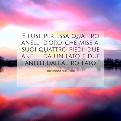 Esodo 37:3 RIV Immagine del Versetto della Bibbia