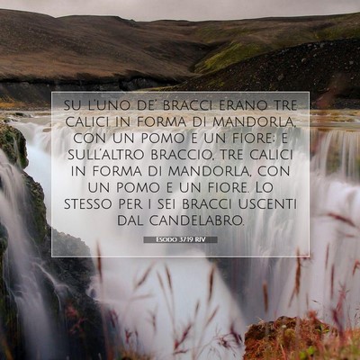 Esodo 37:19 Versetto della Bibbia Spiegato