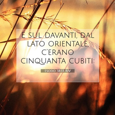 Esodo 38:13 Versetto della Bibbia Spiegato