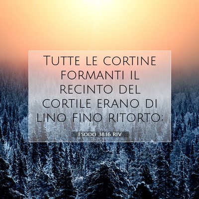 Esodo 38:16 Versetto della Bibbia Spiegato