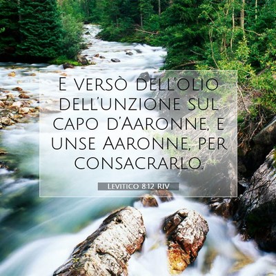Levitico 8:12 Versetto della Bibbia Spiegato