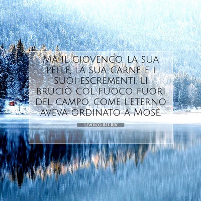 Levitico 8:17 Versetto della Bibbia Spiegato