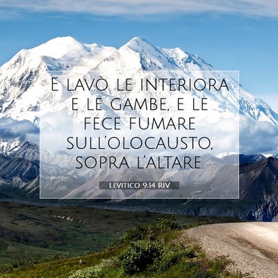 Levitico 9:14 Versetto della Bibbia Spiegato
