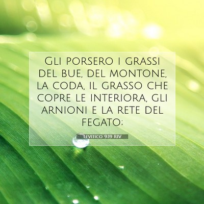 Levitico 9:19 Versetto della Bibbia Spiegato