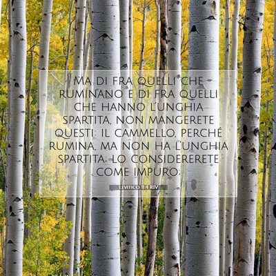 Levitico 11:4 Versetto della Bibbia Spiegato