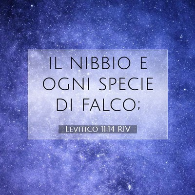 Levitico 11:14 Versetto della Bibbia Spiegato