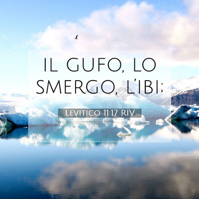 Levitico 11:17 Versetto della Bibbia Spiegato