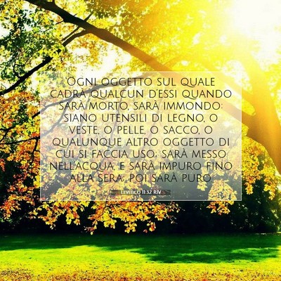 Levitico 11:32 Versetto della Bibbia Spiegato