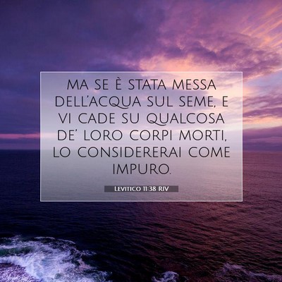 Levitico 11:38 Versetto della Bibbia Spiegato