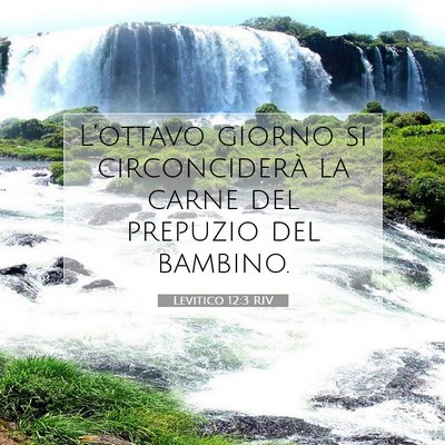 Levitico 12:3 RIV Immagine del Versetto della Bibbia
