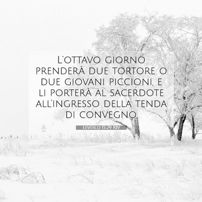 Levitico 15:29 RIV Immagine del Versetto della Bibbia