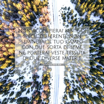 Levitico 19:19 Versetto della Bibbia Spiegato