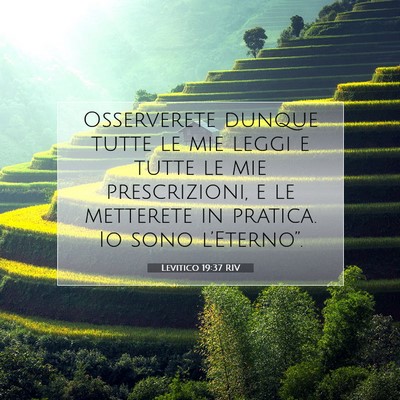 Levitico 19:37 RIV Immagine del Versetto della Bibbia