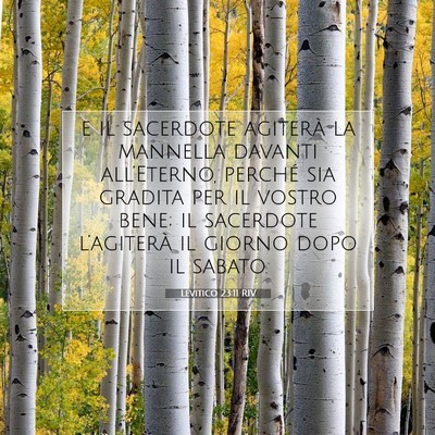 Levitico 23:11 Versetto della Bibbia Spiegato