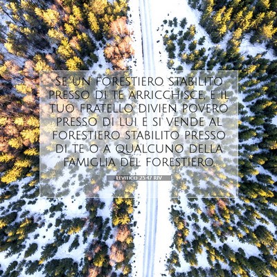 Levitico 25:47 Versetto della Bibbia Spiegato