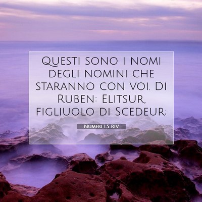 Numeri 1:5 Versetto della Bibbia Spiegato