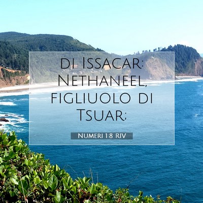Numeri 1:8 Versetto della Bibbia Spiegato