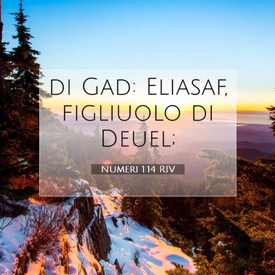 Numeri 1:14 Versetto della Bibbia Spiegato