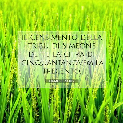 Numeri 1:23 Versetto della Bibbia Spiegato