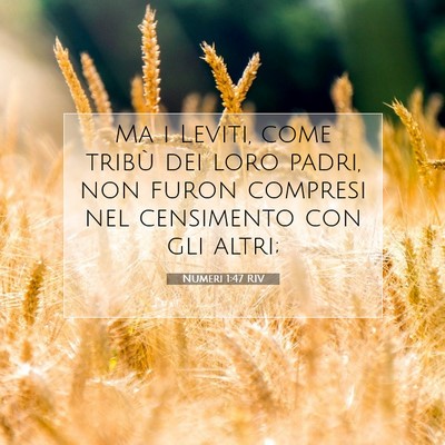 Numeri 1:47 Versetto della Bibbia Spiegato