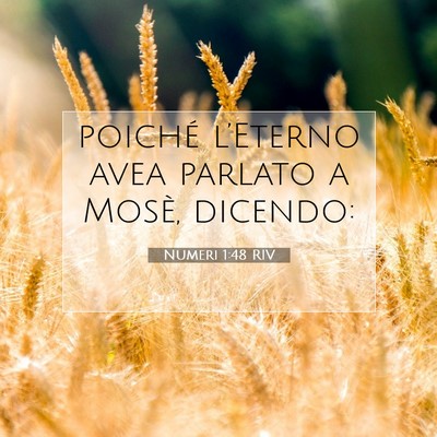 Numeri 1:48 Versetto della Bibbia Spiegato