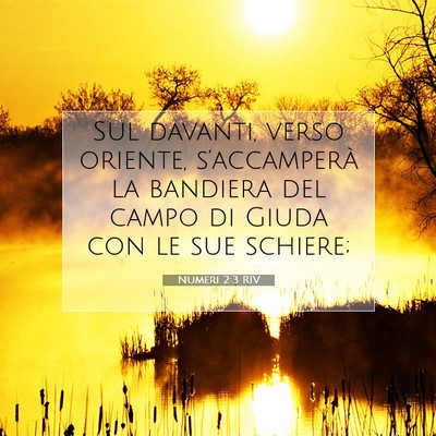 Numeri 2:3 RIV Immagine del Versetto della Bibbia