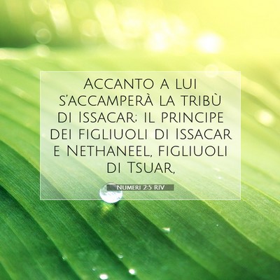 Numeri 2:5 RIV Immagine del Versetto della Bibbia