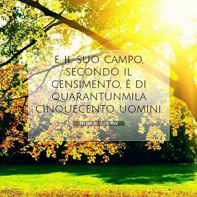 Numeri 2:28 Versetto della Bibbia Spiegato