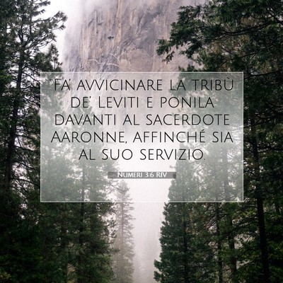 Numeri 3:6 Versetto della Bibbia Spiegato