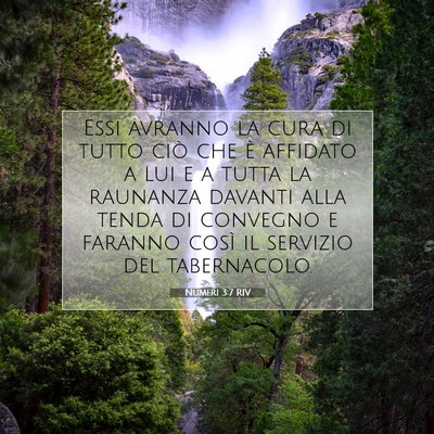 Numeri 3:7 Versetto della Bibbia Spiegato