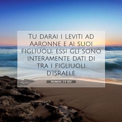 Numeri 3:9 Versetto della Bibbia Spiegato