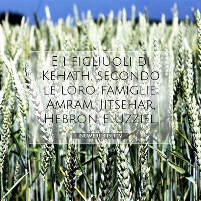 Numeri 3:19 Versetto della Bibbia Spiegato