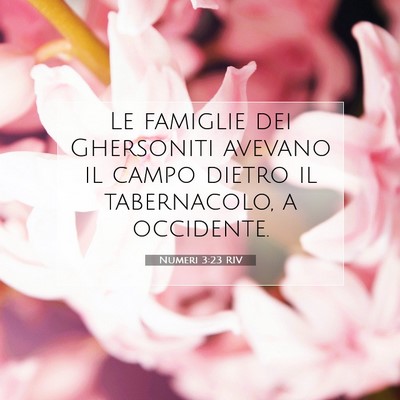 Numeri 3:23 Versetto della Bibbia Spiegato