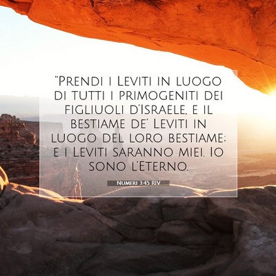 Numeri 3:45 Versetto della Bibbia Spiegato