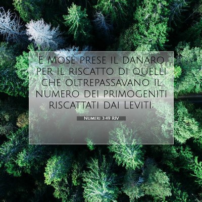 Numeri 3:49 Versetto della Bibbia Spiegato