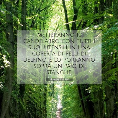 Numeri 4:10 Versetto della Bibbia Spiegato